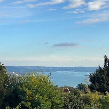 La Garçonniérre del Lago Maggiore Nebbiuno Esterno foto