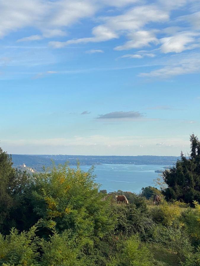 La Garçonniérre del Lago Maggiore Nebbiuno Esterno foto